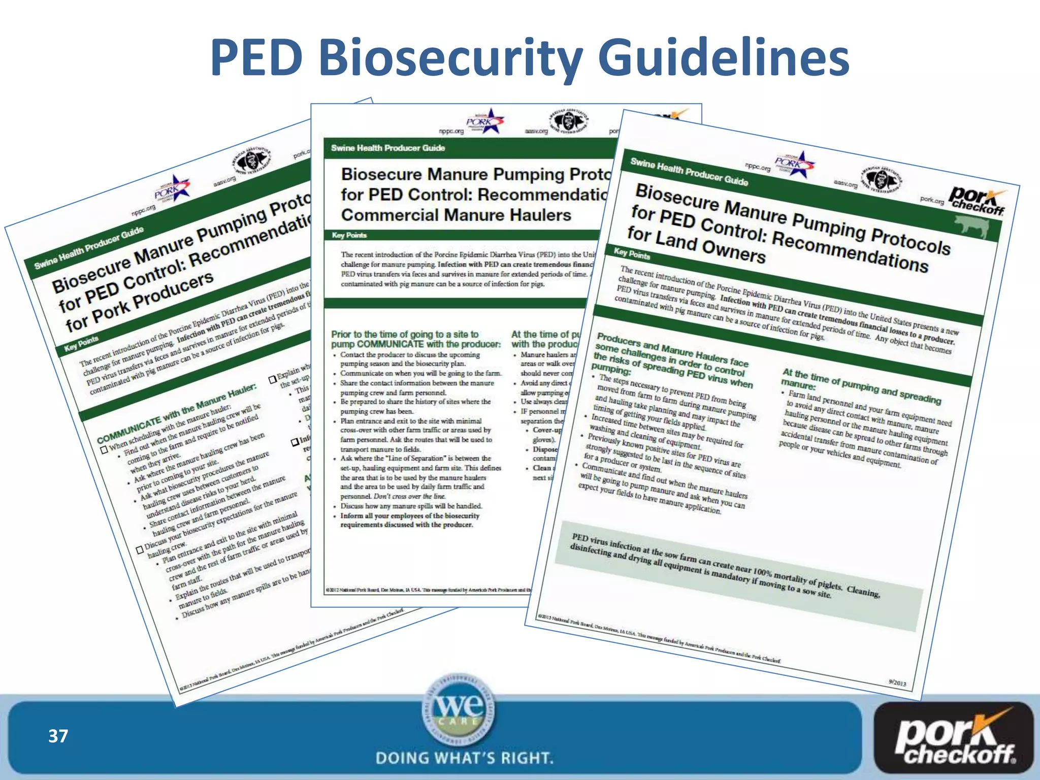 37
PED Biosecurity Guidelines
 