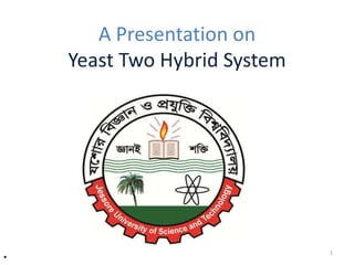 A Presentation on
Yeast Two Hybrid System
•
•
1
 
