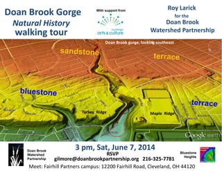 Doan Brook
Watershed
Partnership
3 pm, Sat, June 7, 2014
Roy Larick
Bluestone
Heights
Doan Brook gorge, looking southeast
Doan Brook
Watershed Partnership
USGS LiDAR underlay; Google Earth aerial viewer
for the
Maple RidgeTurkey Ridge
RSVP
gilmore@doanbrookpartnership.org 216-325-7781
Doan Brook Gorge
walking tour
With support from
Natural History
Meet: Fairhill Partners campus: 12200 Fairhill Road, Cleveland, OH 44120
 