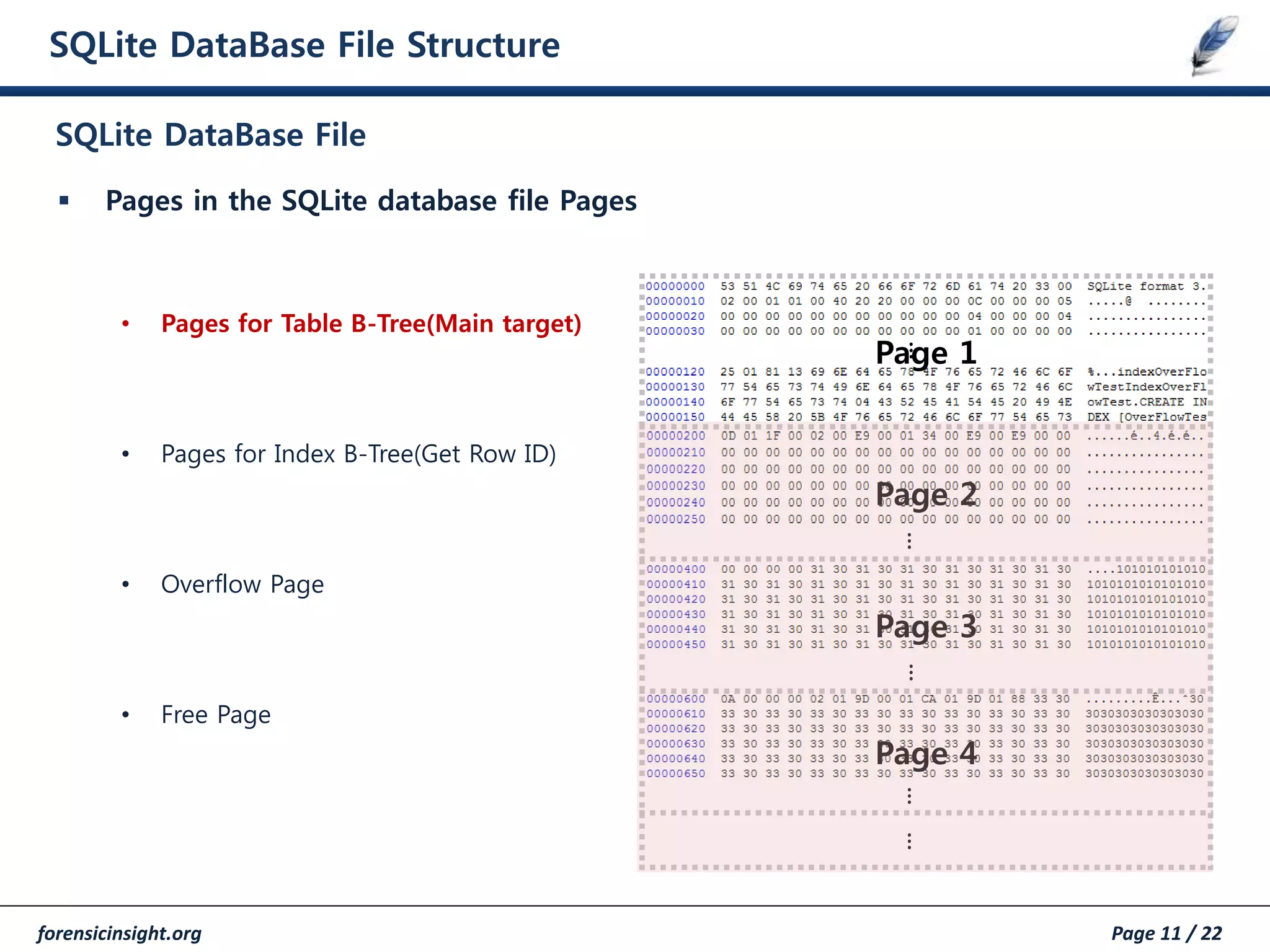 forensicinsight.org Page 11 / 22
SQLite DataBase File Structure
 Pages in the SQLite database file Pages
• Pages for Table B-Tree(Main target)
• Pages for Index B-Tree(Get Row ID)
• Overflow Page
• Free Page
SQLite DataBase File
…
Page 1
Page 2
Page 3
Page 4
…………
 