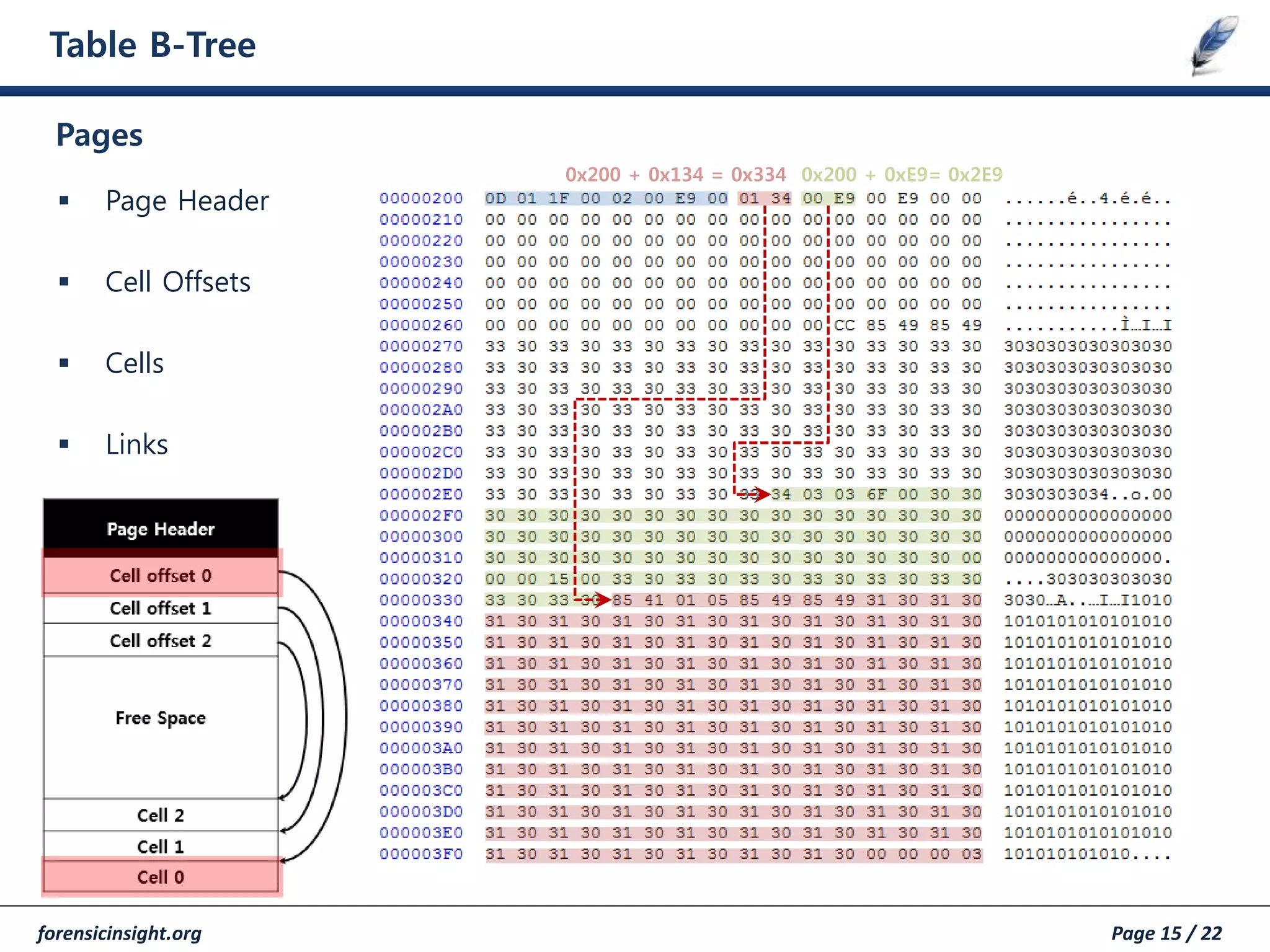 forensicinsight.org Page 15 / 22
Table B-Tree
 Page Header
 Cell Offsets
 Cells
 Links
Pages
0x200 + 0x134 = 0x334 0x200 + 0xE9= 0x2E9
 