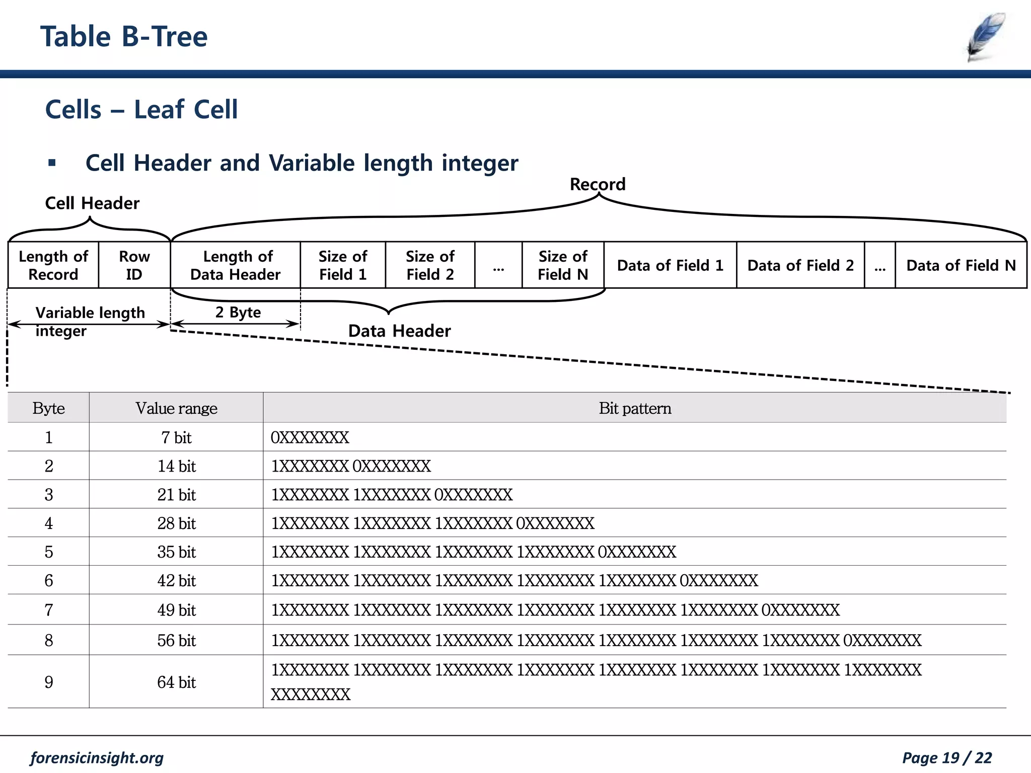forensicinsight.org Page 19 / 22
Table B-Tree
 Cell Header and Variable length integer
Cells – Leaf Cell
Byte Value range Bit pattern
1 7 bit 0XXXXXXX
2 14 bit 1XXXXXXX 0XXXXXXX
3 21 bit 1XXXXXXX 1XXXXXXX 0XXXXXXX
4 28 bit 1XXXXXXX 1XXXXXXX 1XXXXXXX 0XXXXXXX
5 35 bit 1XXXXXXX 1XXXXXXX 1XXXXXXX 1XXXXXXX 0XXXXXXX
6 42 bit 1XXXXXXX 1XXXXXXX 1XXXXXXX 1XXXXXXX 1XXXXXXX 0XXXXXXX
7 49 bit 1XXXXXXX 1XXXXXXX 1XXXXXXX 1XXXXXXX 1XXXXXXX 1XXXXXXX 0XXXXXXX
8 56 bit 1XXXXXXX 1XXXXXXX 1XXXXXXX 1XXXXXXX 1XXXXXXX 1XXXXXXX 1XXXXXXX 0XXXXXXX
9 64 bit
1XXXXXXX 1XXXXXXX 1XXXXXXX 1XXXXXXX 1XXXXXXX 1XXXXXXX 1XXXXXXX 1XXXXXXX
XXXXXXXX
Length of
Record
Row
ID
Length of
Data Header
Size of
Field 1
Size of
Field 2
...
Size of
Field N
Data of Field 1 Data of Field 2 ... Data of Field N
Record
Variable length
integer
2 Byte
Cell Header
Data Header
 