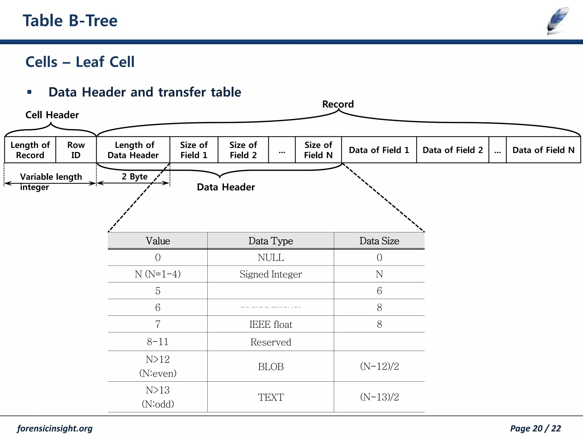 forensicinsight.org Page 20 / 22
Table B-Tree
 Data Header and transfer table
Cells – Leaf Cell
Length of
Record
Row
ID
Length of
Data Header
Size of
Field 1
Size of
Field 2
...
Size of
Field N
Data of Field 1 Data of Field 2 ... Data of Field N
Data Header
Variable length
integer
2 Byte
Value Data Type Data Size
0 NULL 0
N (N=1-4) Signed Integer N
5 Signed Integer 6
6 Signed Integer 8
7 IEEE float 8
8-11 Reserved
N>12
(N:even)
BLOB (N-12)/2
N>13
(N:odd)
TEXT (N-13)/2
Record
Cell Header
 