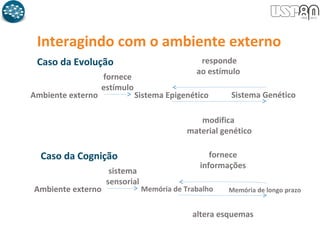 Interagindo com o ambiente externo
Caso da Evolução
Ambiente externo Sistema Epigenético Sistema Genético
fornece
estímulo
responde
ao estímulo
modifica
material genético
Caso da Cognição
Ambiente externo Memória de Trabalho Memória de longo prazo
sistema
sensorial
fornece
informações
altera esquemas
 
