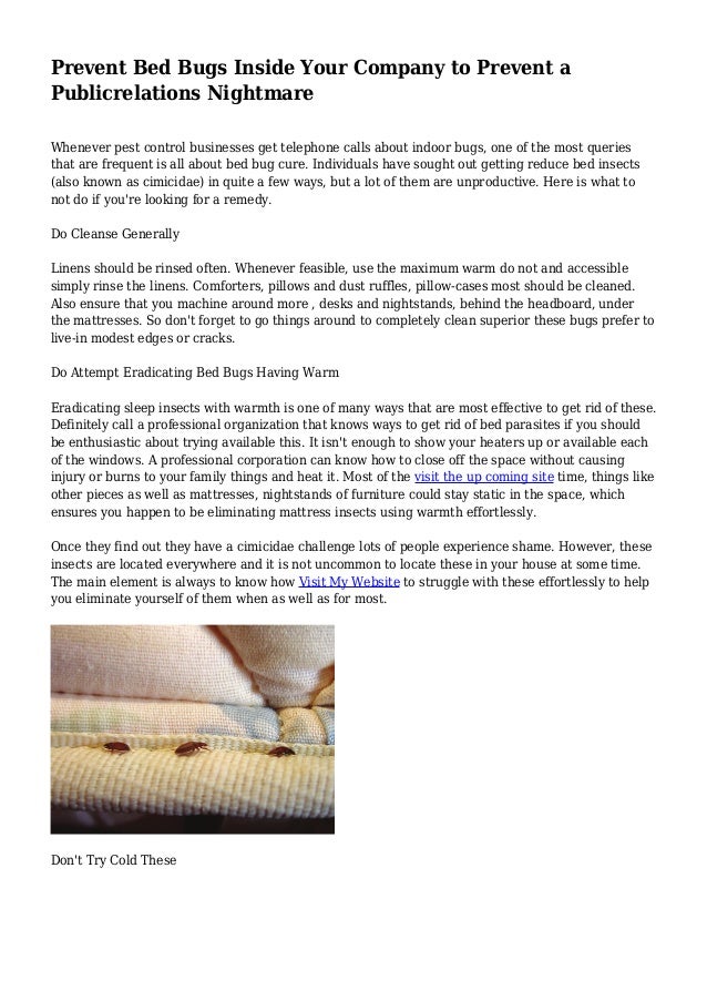 Prevent Bed Bugs Inside Your Company to Prevent a Publicrelations Nightmare
