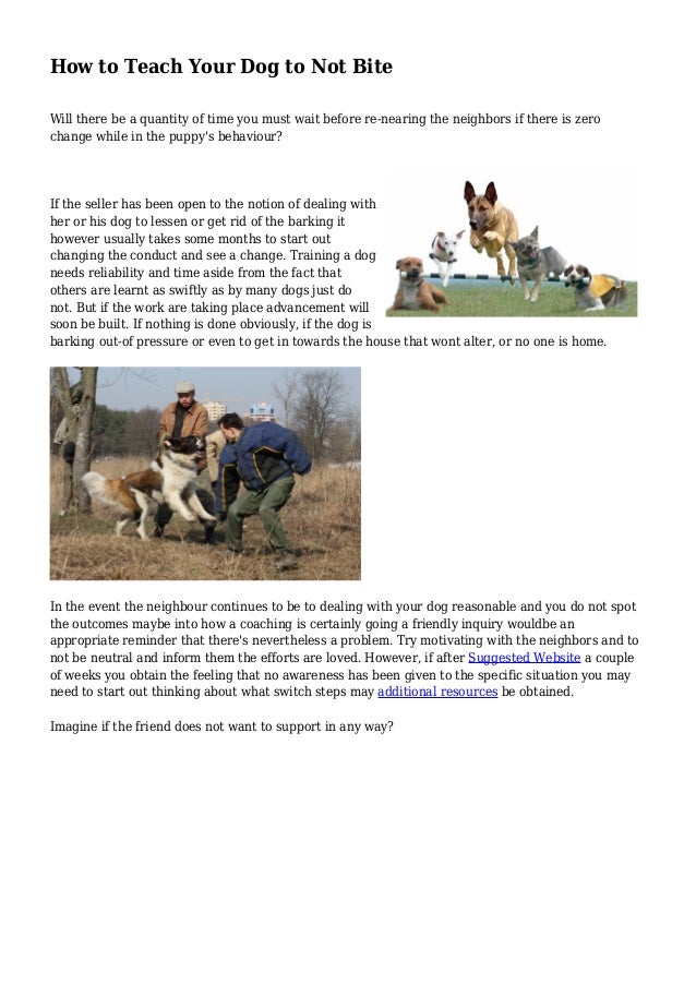 How to Teach Your Dog to Not Bite