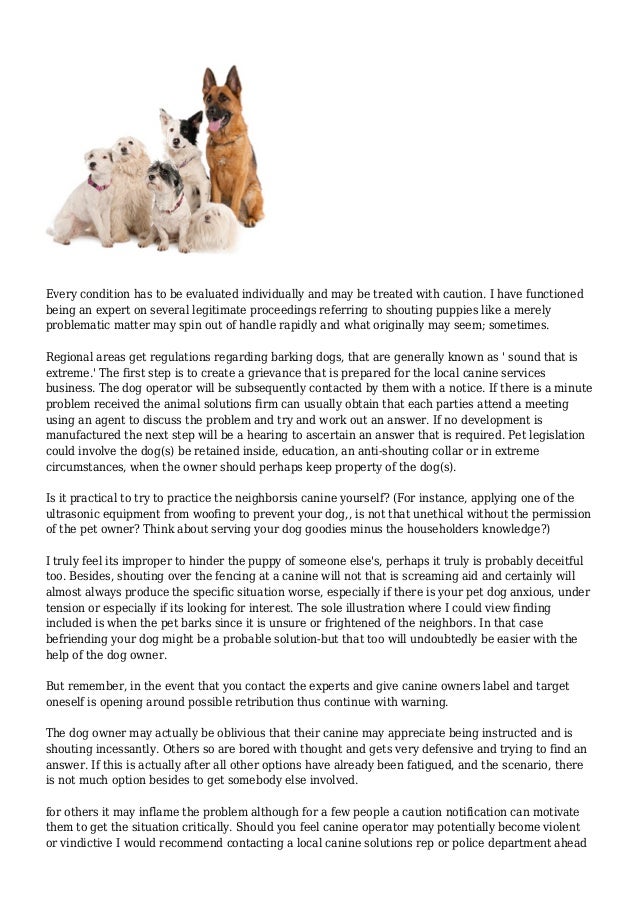 How to Teach Your Dog to Not Bite