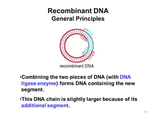 Dna Combining general organic chemistry chapter 22 lecture online | PDF
