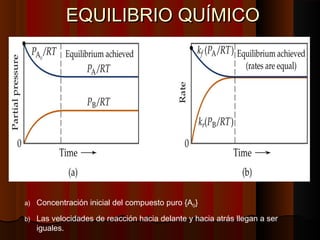 EEQQUUIILLIIBBRRIIOO QQUUÍÍMMIICCOO 
a) Concentración inicial del compuesto puro {A0} 
b) Las velocidades de reacción hacia delante y hacia atrás llegan a ser 
iguales. 
 