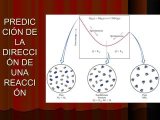 PPRREEDDIICC 
CCIIÓÓNN DDEE 
LLAA 
DDIIRREECCCCII 
ÓÓNN DDEE 
UUNNAA 
RREEAACCCCII 
ÓÓNN 
 