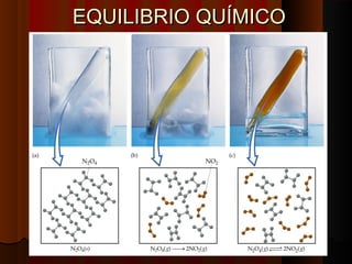 EEQQUUIILLIIBBRRIIOO QQUUÍÍMMIICCOO 
 