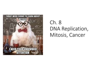 Ch. 8
DNA Replication,
Mitosis, Cancer
 