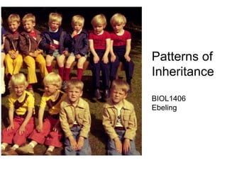 Patterns of
Inheritance
BIOL1406
Ebeling
 