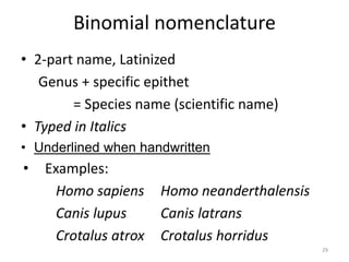 Binomial nomenclature
• 2-part name, Latinized
Genus + specific epithet
= Species name (scientific name)
• Typed in Italics
• Underlined when handwritten
• Examples:
Homo sapiens Homo neanderthalensis
Canis lupus Canis latrans
Crotalus atrox Crotalus horridus
29
 
