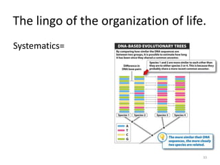 The lingo of the organization of life.
Systematics=
33
 