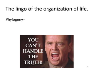 The lingo of the organization of life.
Phylogeny=
35
 