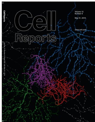 Cell reports cover