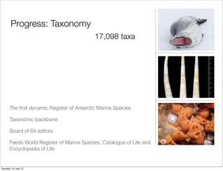 Progress: Taxonomy
                                           17,098 taxa




      The ﬁrst dynamic Register of Antarctic Marine Species

      Taxonomic backbone

      Board of 64 editors

      Feeds World Register of Marine Species, Catalogue of Life and
      Encyclopedia of Life


Sunday 15 July 12
 