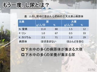 もう一度，し尿とは？
下水中の多くの病原体が集まる大便
下水中の多くの栄養が集まる尿
元素 尿
g/人/日 %
大便
g/人/日 %
N：窒素 11.0 88 1.5 12
P：リン 1.0 67 0.5 33
K：カリウム 2.5 71 1.0 29
病原体 ほぼ含まない ほとんどを含む
表 人のし尿中に含まれる肥料の三大元素と病原体
22/92
 