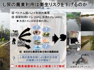 し尿の農業利用は衛生リスクを下げるのか
 ベトナム国ハノイ市郊外集落
 屎尿利用トイレ (56%), 水洗トイレ (44%)
水洗トイレはほぼ垂れ流し
29/92
soil
Irrigation
water
foods
hands
?
?
?
?
excreta
大腸菌曝露解析および健康リスク解析
尿
大便穴
伝統的エコサントイレ
図 潜在的な糞便性微生物の曝露経路
し尿の農業利用により農村生活者
の健康リスクが増加？?
 
