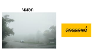 หมอก
คอลลอยด์
 