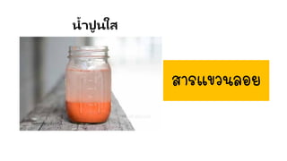 น้าปูนใส
สารแขวนลอย
 