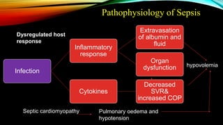 Pathophysiology of Sepsis
Infection
Inflammatory
response
Extravasation
of albumin and
fluid
Organ
dysfunction
Cytokines
Decreased
SVR&
increased COP
Dysregulated host
response
hypovolemia
Septic cardiomyopathy Pulmonary oedema and
hypotension
 
