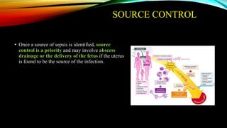 SOURCE CONTROL
• Once a source of sepsis is identified, source
control is a priority and may involve abscess
drainage or the delivery of the fetus if the uterus
is found to be the source of the infection.
 