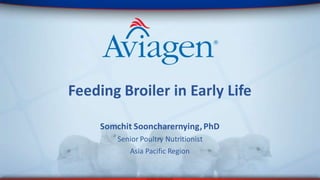 Feeding Broiler in Early Life
Somchit Sooncharernying,PhD
Senior Poultry Nutritionist
Asia Pacific Region
 
