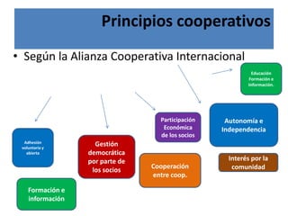 Principios cooperativos
• Según la Alianza Cooperativa Internacional
Adhesión
voluntaria y
abierta
Gestión
democrática
por parte de
los socios
Participación
Económica
de los socios
Autonomía e
Independencia
Educación
Formación e
Información.
Cooperación
entre coop.
Formación e
información
Interés por la
comunidad
 