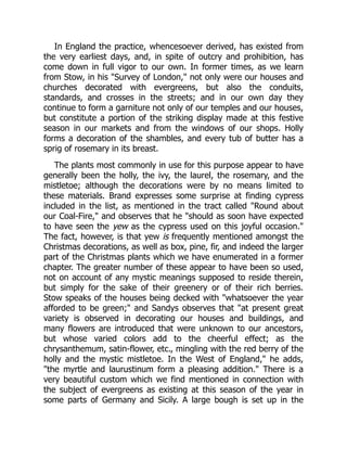 In England the practice, whencesoever derived, has existed from
the very earliest days, and, in spite of outcry and prohibition, has
come down in full vigor to our own. In former times, as we learn
from Stow, in his "Survey of London," not only were our houses and
churches decorated with evergreens, but also the conduits,
standards, and crosses in the streets; and in our own day they
continue to form a garniture not only of our temples and our houses,
but constitute a portion of the striking display made at this festive
season in our markets and from the windows of our shops. Holly
forms a decoration of the shambles, and every tub of butter has a
sprig of rosemary in its breast.
The plants most commonly in use for this purpose appear to have
generally been the holly, the ivy, the laurel, the rosemary, and the
mistletoe; although the decorations were by no means limited to
these materials. Brand expresses some surprise at finding cypress
included in the list, as mentioned in the tract called "Round about
our Coal-Fire," and observes that he "should as soon have expected
to have seen the yew as the cypress used on this joyful occasion."
The fact, however, is that yew is frequently mentioned amongst the
Christmas decorations, as well as box, pine, fir, and indeed the larger
part of the Christmas plants which we have enumerated in a former
chapter. The greater number of these appear to have been so used,
not on account of any mystic meanings supposed to reside therein,
but simply for the sake of their greenery or of their rich berries.
Stow speaks of the houses being decked with "whatsoever the year
afforded to be green;" and Sandys observes that "at present great
variety is observed in decorating our houses and buildings, and
many flowers are introduced that were unknown to our ancestors,
but whose varied colors add to the cheerful effect; as the
chrysanthemum, satin-flower, etc., mingling with the red berry of the
holly and the mystic mistletoe. In the West of England," he adds,
"the myrtle and laurustinum form a pleasing addition." There is a
very beautiful custom which we find mentioned in connection with
the subject of evergreens as existing at this season of the year in
some parts of Germany and Sicily. A large bough is set up in the
 