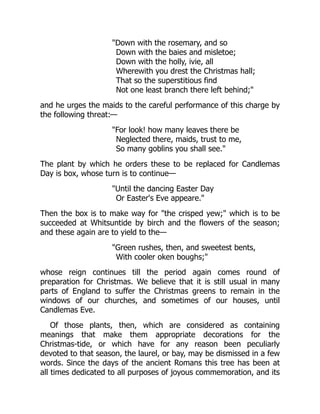 "Down with the rosemary, and so
Down with the baies and misletoe;
Down with the holly, ivie, all
Wherewith you drest the Christmas hall;
That so the superstitious find
Not one least branch there left behind;"
and he urges the maids to the careful performance of this charge by
the following threat:—
"For look! how many leaves there be
Neglected there, maids, trust to me,
So many goblins you shall see."
The plant by which he orders these to be replaced for Candlemas
Day is box, whose turn is to continue—
"Until the dancing Easter Day
Or Easter's Eve appeare."
Then the box is to make way for "the crisped yew;" which is to be
succeeded at Whitsuntide by birch and the flowers of the season;
and these again are to yield to the—
"Green rushes, then, and sweetest bents,
With cooler oken boughs;"
whose reign continues till the period again comes round of
preparation for Christmas. We believe that it is still usual in many
parts of England to suffer the Christmas greens to remain in the
windows of our churches, and sometimes of our houses, until
Candlemas Eve.
Of those plants, then, which are considered as containing
meanings that make them appropriate decorations for the
Christmas-tide, or which have for any reason been peculiarly
devoted to that season, the laurel, or bay, may be dismissed in a few
words. Since the days of the ancient Romans this tree has been at
all times dedicated to all purposes of joyous commemoration, and its
 