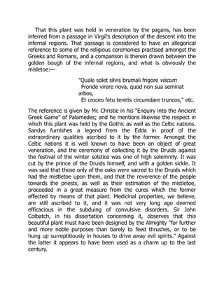 That this plant was held in veneration by the pagans, has been
inferred from a passage in Virgil's description of the descent into the
infernal regions. That passage is considered to have an allegorical
reference to some of the religious ceremonies practised amongst the
Greeks and Romans, and a comparison is therein drawn between the
golden bough of the infernal regions, and what is obviously the
misletoe:—
"Quale solet silvis brumali frigore viscum
Fronde virere nova, quod non sua seminat
arbos,
Et croceo fetu teretis circumdare truncos," etc.
The reference is given by Mr. Christie in his "Enquiry into the Ancient
Greek Game" of Palamedes; and he mentions likewise the respect in
which this plant was held by the Gothic as well as the Celtic nations.
Sandys furnishes a legend from the Edda in proof of the
extraordinary qualities ascribed to it by the former. Amongst the
Celtic nations it is well known to have been an object of great
veneration, and the ceremony of collecting it by the Druids against
the festival of the winter solstice was one of high solemnity. It was
cut by the prince of the Druids himself, and with a golden sickle. It
was said that those only of the oaks were sacred to the Druids which
had the mistletoe upon them, and that the reverence of the people
towards the priests, as well as their estimation of the mistletoe,
proceeded in a great measure from the cures which the former
effected by means of that plant. Medicinal properties, we believe,
are still ascribed to it, and it was not very long ago deemed
efficacious in the subduing of convulsive disorders. Sir John
Colbatch, in his dissertation concerning it, observes that this
beautiful plant must have been designed by the Almighty "for further
and more noble purposes than barely to feed thrushes, or to be
hung up surreptitiously in houses to drive away evil spirits." Against
the latter it appears to have been used as a charm up to the last
century.
 