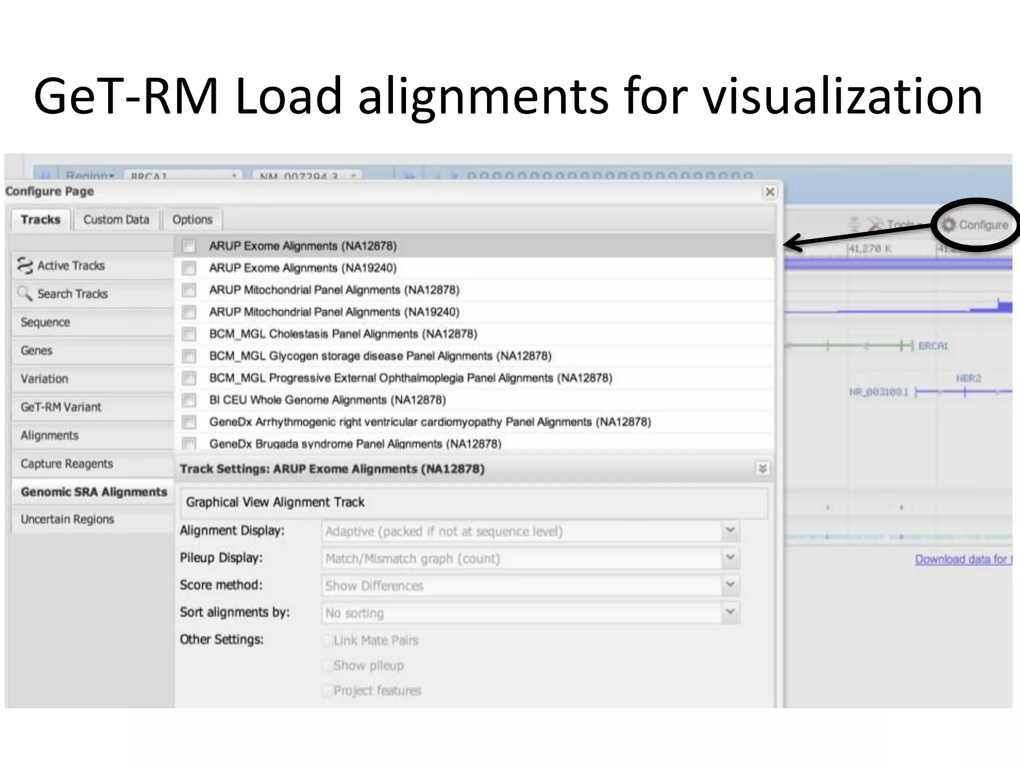 GeT-RM Load alignments for visualization
 