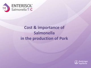 Cost & importance of 
Salmonella 
in the production of Pork 
 