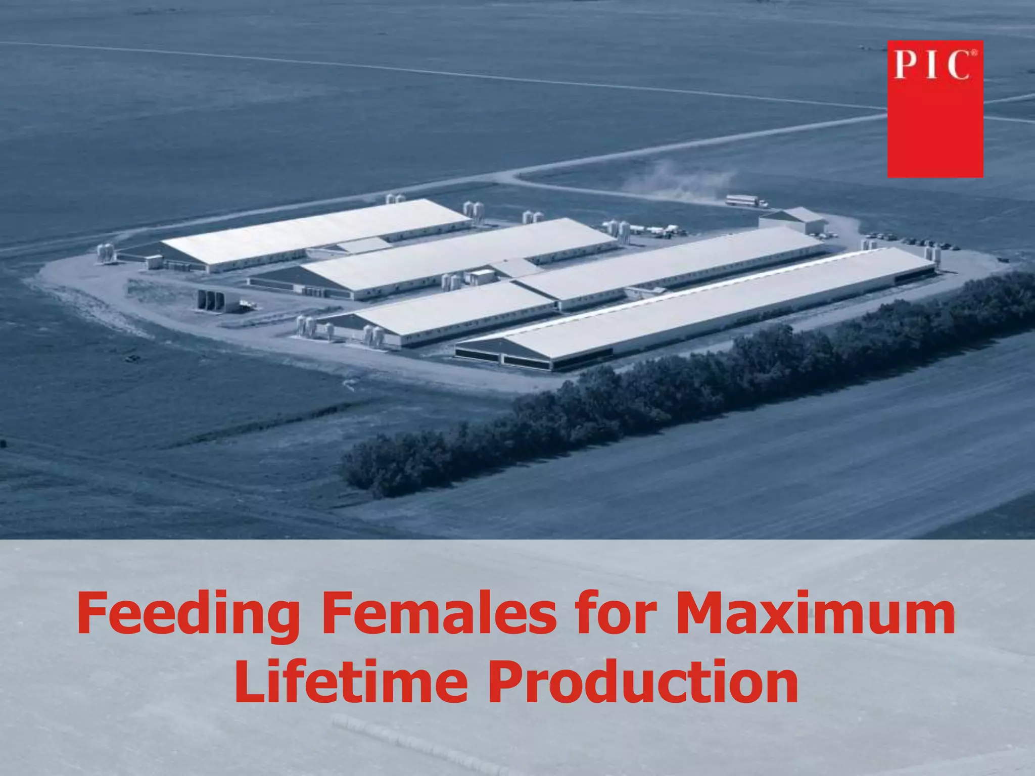 Feeding Females for Maximum 
Lifetime Production 
 