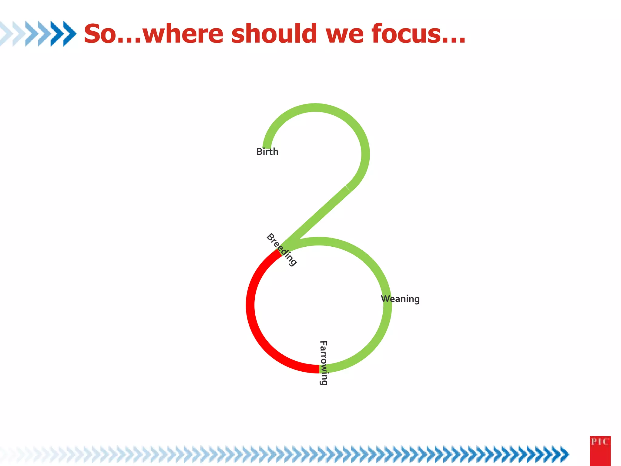 So…where should we focus… 
Weaning 
Birth 
 