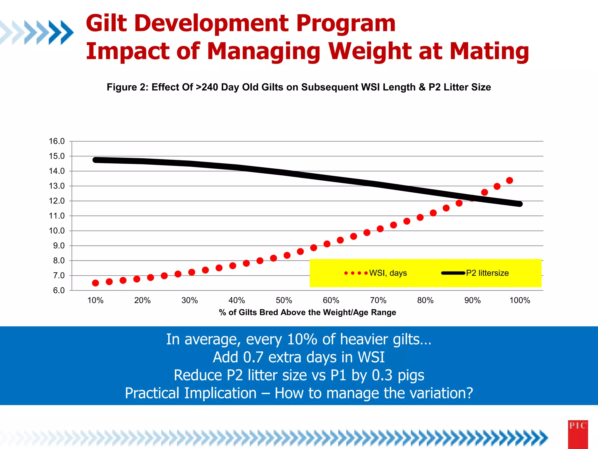 Gilt Development Program 
Impact of Managing Weight at Mating 
Figure 2: Effect Of >240 Day Old Gilts on Subsequent WSI Length & P2 Litter Size 
WSI, days P2 littersize 
In average, every 10% of heavier gilts… 
Add 0.7 extra days in WSI 
Reduce P2 litter size vs P1 by 0.3 pigs 
Practical Implication – How to manage the variation? 
16.0 
15.0 
14.0 
13.0 
12.0 
11.0 
10.0 
9.0 
8.0 
7.0 
6.0 
10% 20% 30% 40% 50% 60% 70% 80% 90% 100% 
% of Gilts Bred Above the Weight/Age Range 
 