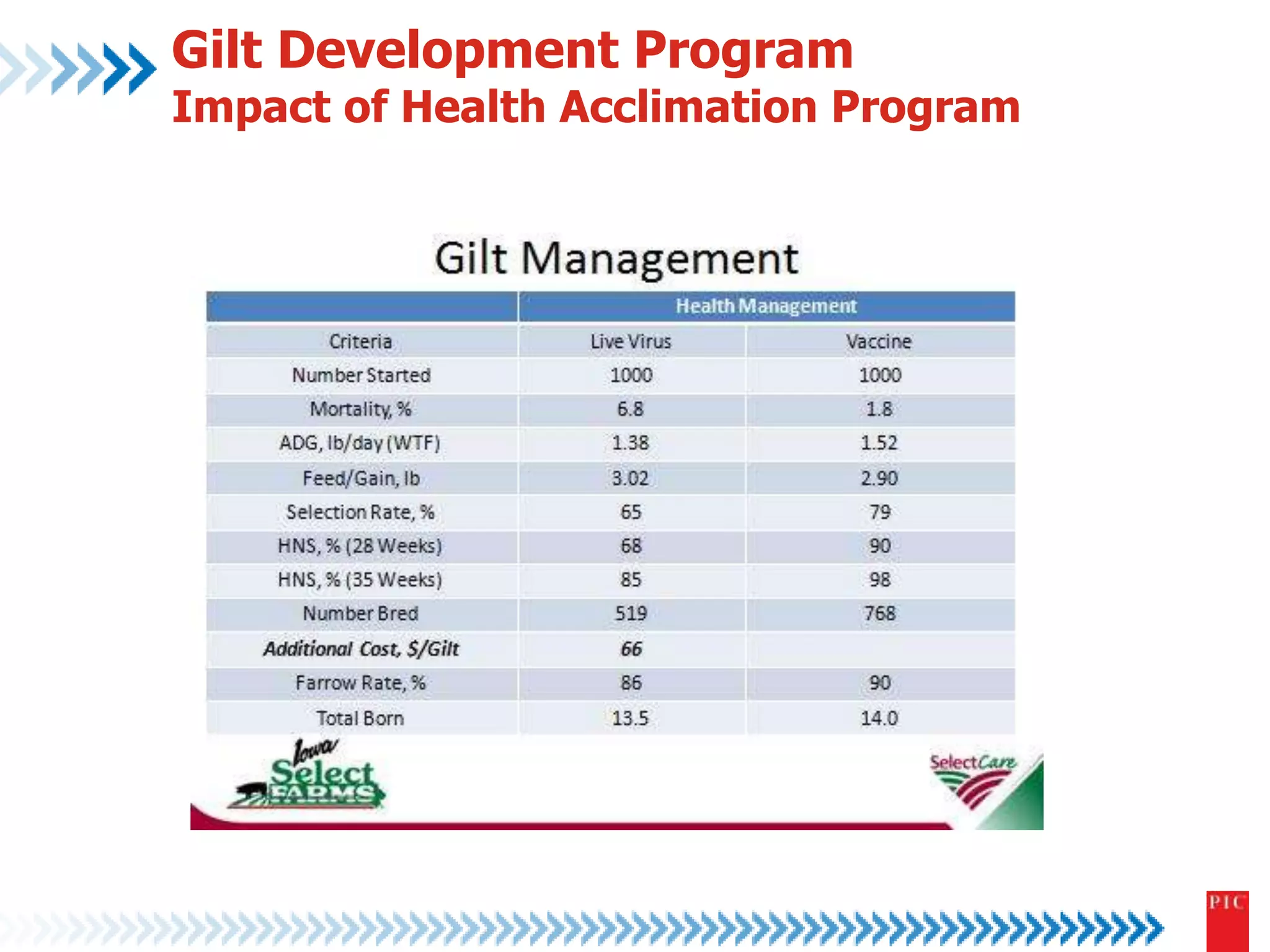 Gilt Development Program 
Impact of Health Acclimation Program 
 