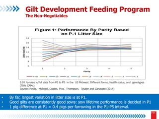 Dr. Matt Culbertson - Feeding Sows for Maximum Lifetime Production | PPTX