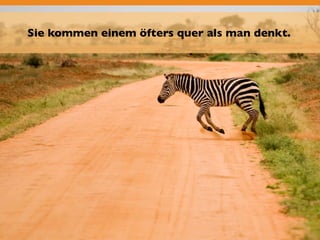 Sie kommen einem öfters quer als man denkt. 
 