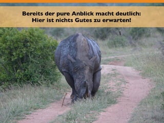 Bereits der pure Anblick macht deutlich: 
Hier ist nichts Gutes zu erwarten! 
 