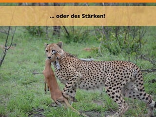 ... oder des Stärken! 
 