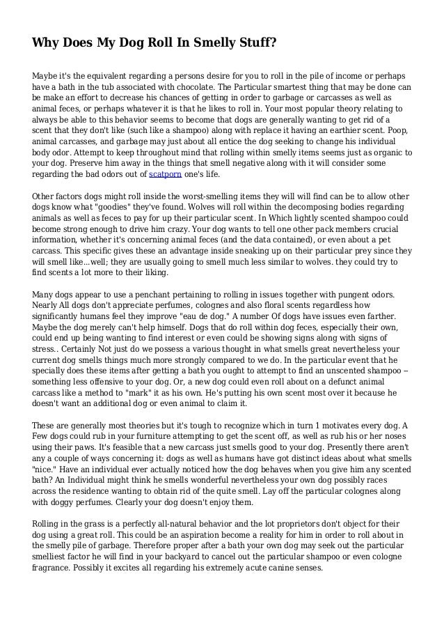 Why Does My Dog Roll In Smelly Stuff?