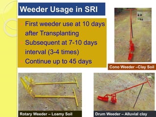Weeder Rover Design 1409 - TNAU Experiences with Weeder Design | PPTX