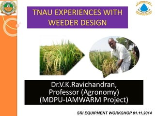 TNAU EXPERIENCES WITH
WEEDER DESIGN
Dr.V.K.Ravichandran,
Professor (Agronomy)
(MDPU-IAMWARM Project)
SRI EQUIPMENT WORKSHOP 01.11.2014
 