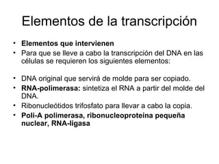 Elementos de la transcripción
• Elementos que intervienen
• Para que se lleve a cabo la transcripción del DNA en las
células se requieren los siguientes elementos:
• DNA original que servirá de molde para ser copiado.
• RNA-polimerasa: sintetiza el RNA a partir del molde del
DNA.
• Ribonucleótidos trifosfato para llevar a cabo la copia.
• Poli-A polimerasa, ribonucleoproteína pequeña
nuclear, RNA-ligasa
 