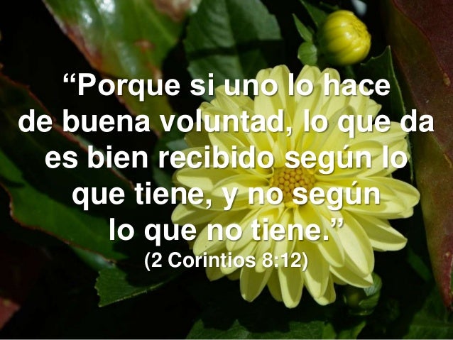 140 Promesas De La Biblia 32