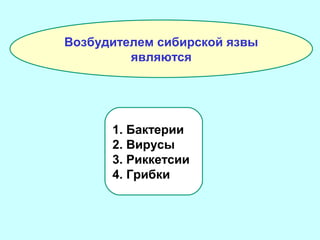 Возбудителем сибирской язвы
являются

1. Бактерии
2. Вирусы
3. Риккетсии
4. Грибки

 