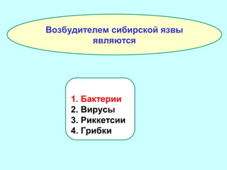Возбудителем сибирской язвы
являются

1. Бактерии
2. Вирусы
3. Риккетсии
4. Грибки

 